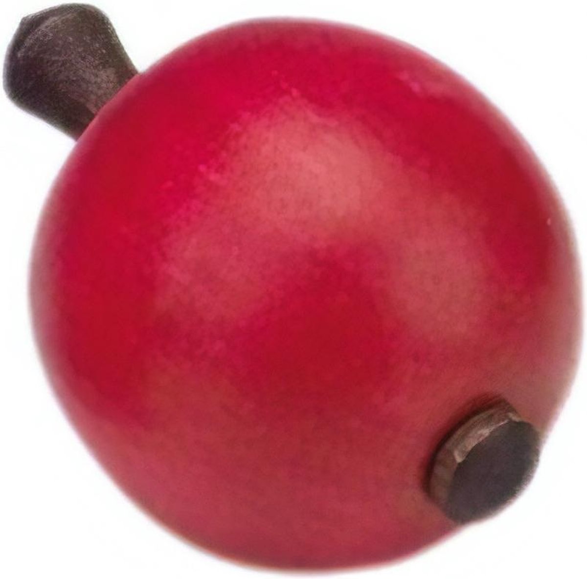 Glückskäfer Tol Hout 6 Cm Appelvorm Rood