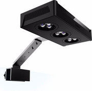 Zee aquariumverlichting - Aquariumverlichting - LED verlichting aquarium - Zee aquarium LED verlichting - Koraal - Verlichting - Red Sea Reefled alternatief