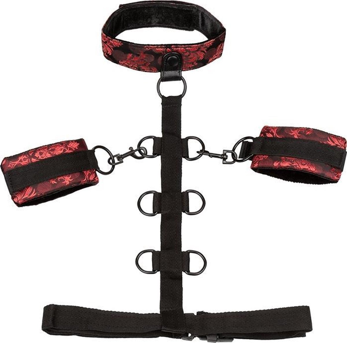 Scandal  Collar Body Restraint