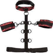 Scandal  Collar Body Restraint