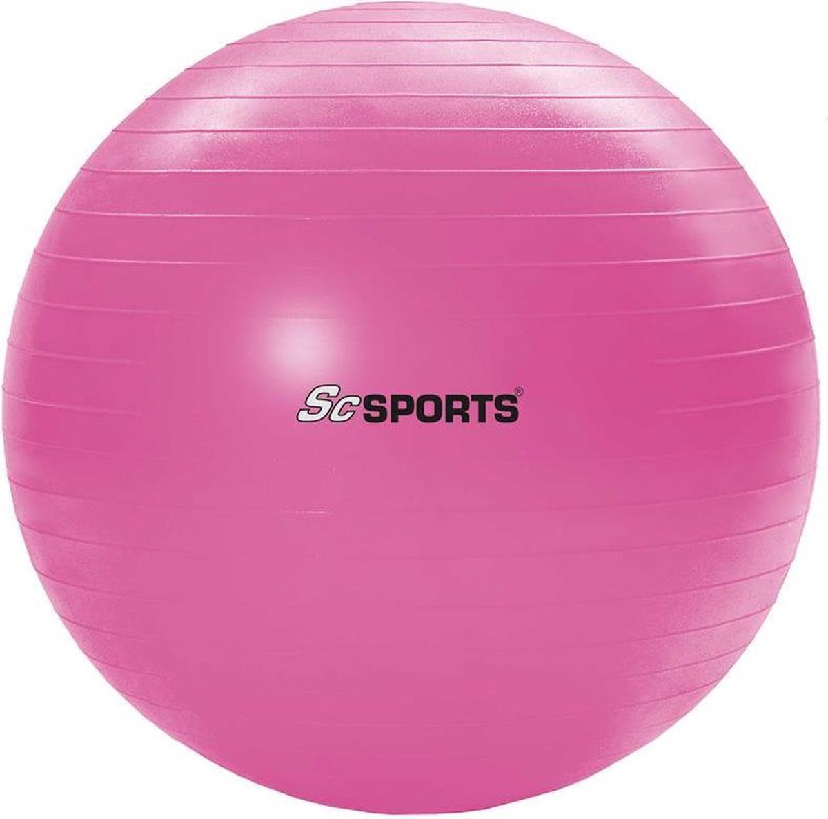 ScSPORTS® Fitnessbal - Zitbal - incl. Pomp - 65 cm - Roze - Gymbal