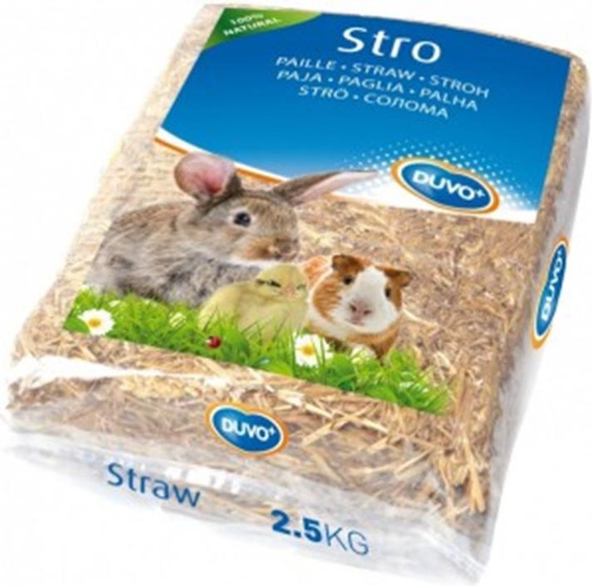 Stro 2