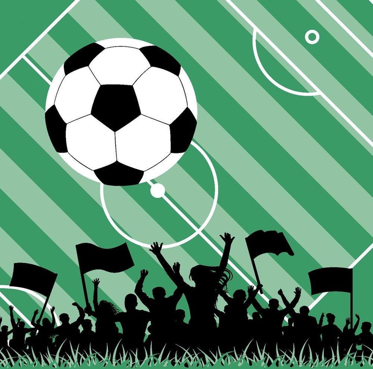 Duni Servetten Voetbalveld 3-laags 33 Cm Groen 20 Stuks