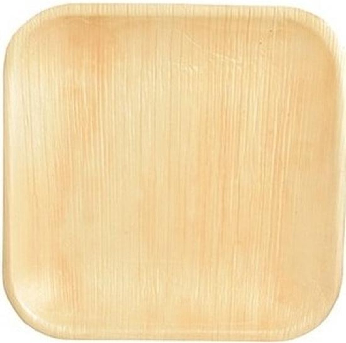 36x stuks wegwerp servies borden vierkant 18 cm biologisch/compost