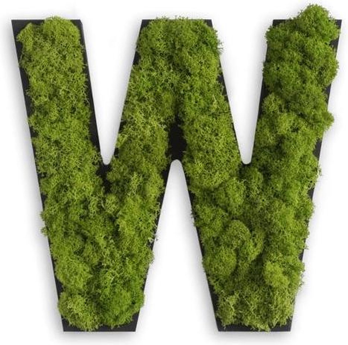 Stylegreen Alfabet letters A t/m Z - Reindeer moss - 25cm