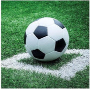 20x Voetbal thema servetten 33 x 33 cm - Papieren wegwerpservetten 3-laags