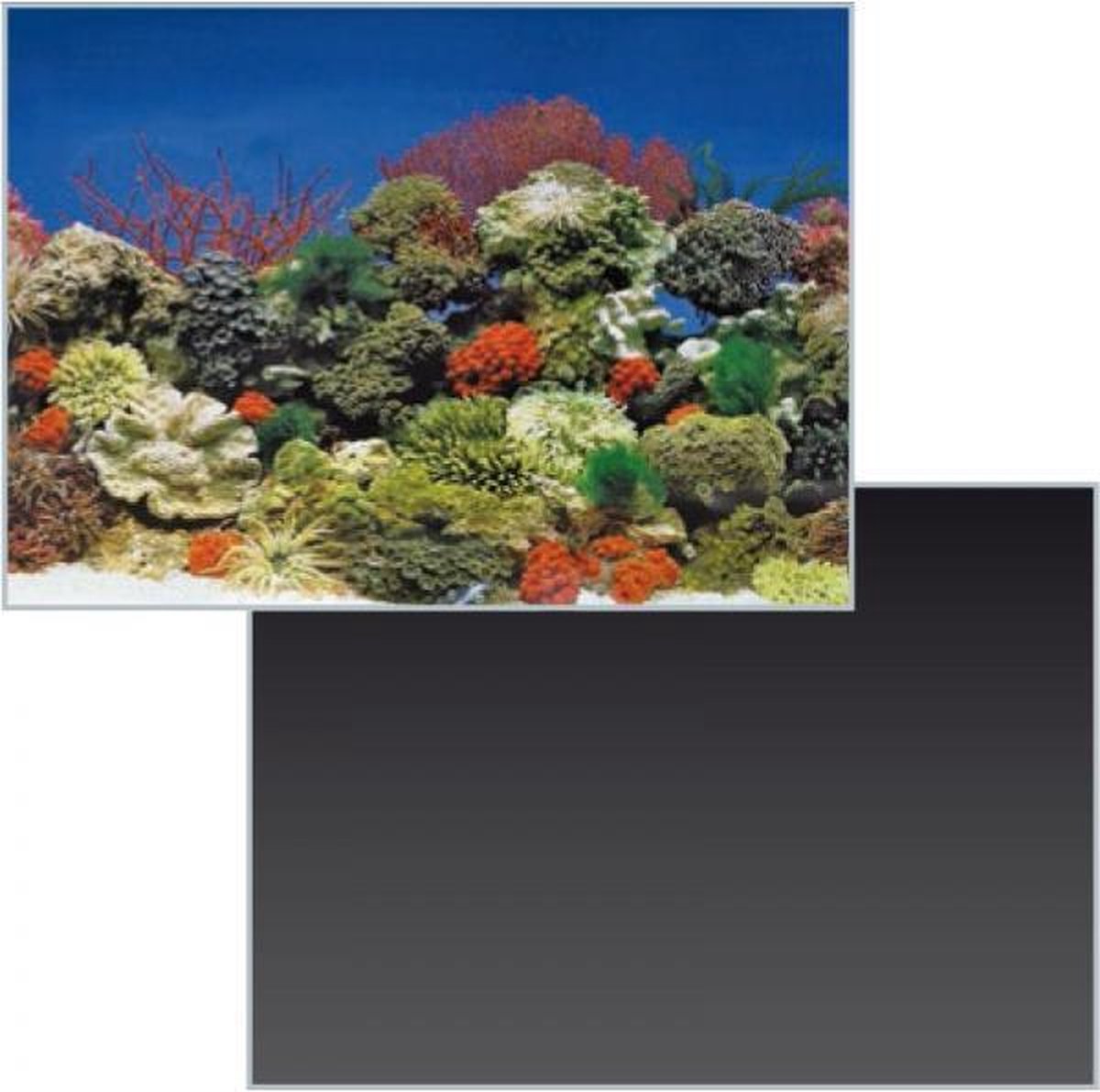 Superfish achterwand deco poster nr 1 120 x 49 cm