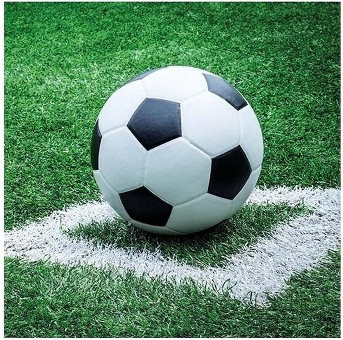 40x Voetbal thema servetten 33 x 33 cm - Papieren servetten 3-laags