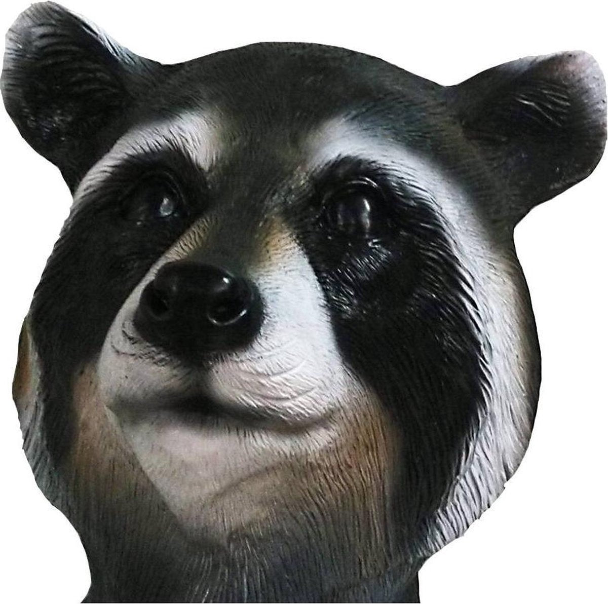 Wasbeer masker
