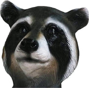 Wasbeer masker