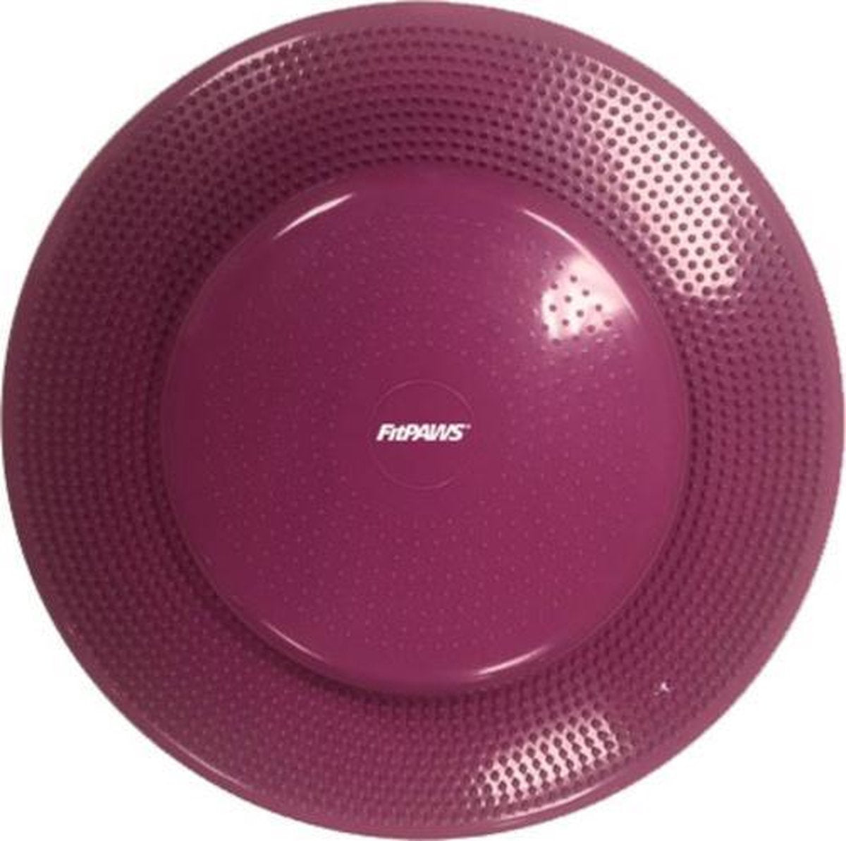 Altranet Hondentraining Balance Disc 56 Cm Pvc Purper
