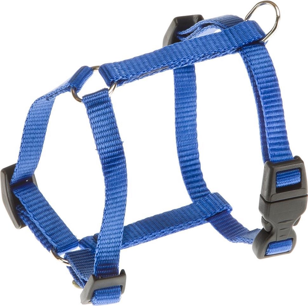 Champion p xs harnais bleu