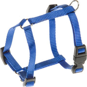 Champion p xs harnais bleu