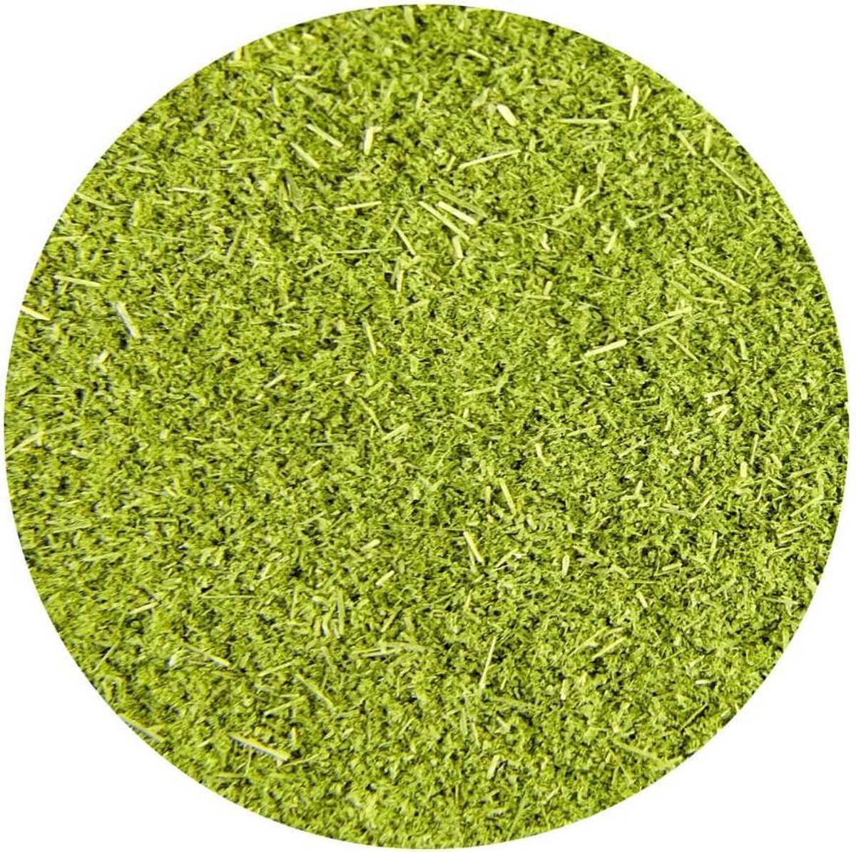Gerstegras Poeder (EU) - 1 Kg - Holyflavours -  Biologisch gecertificeerd