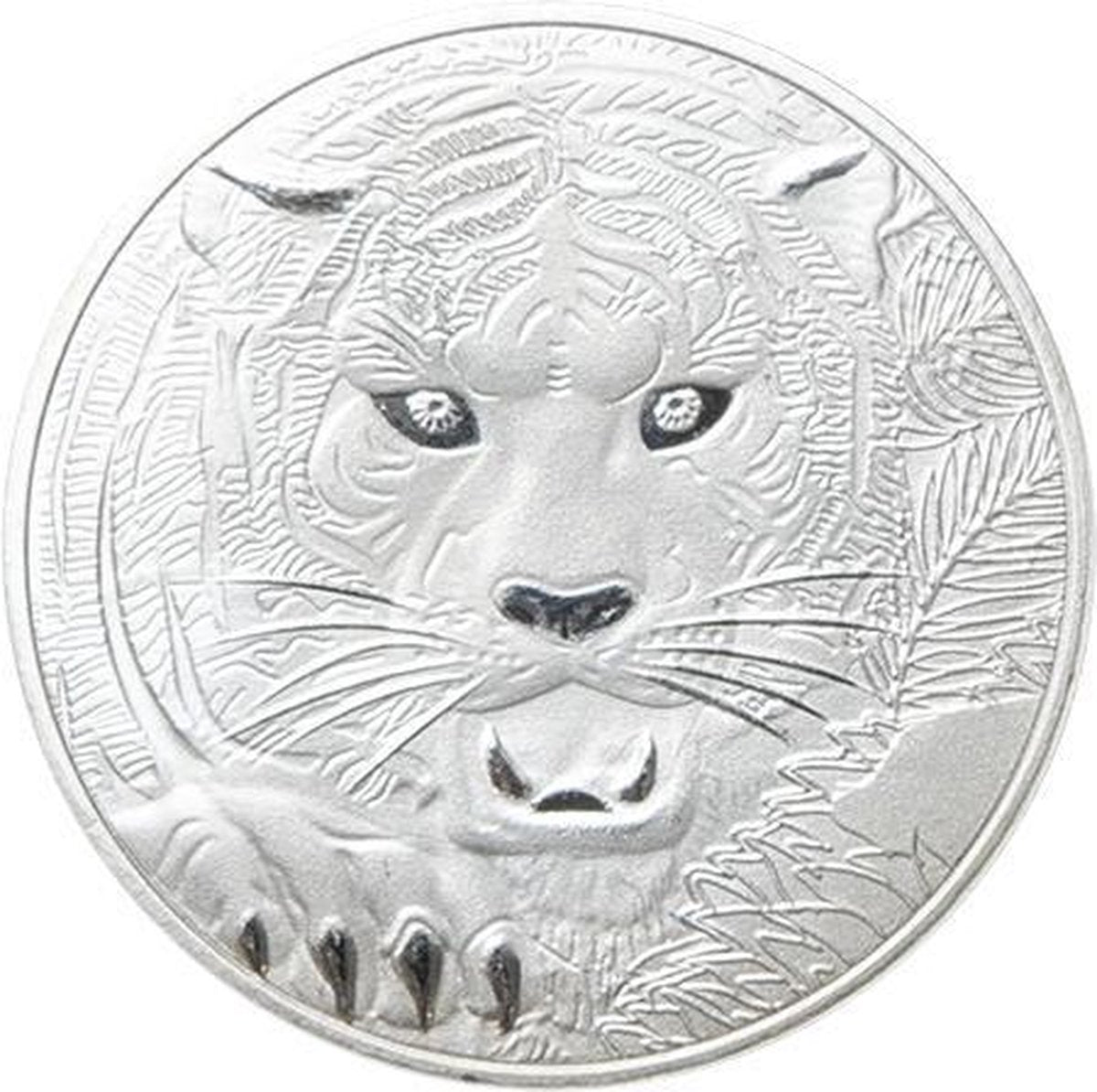Tijger card protector