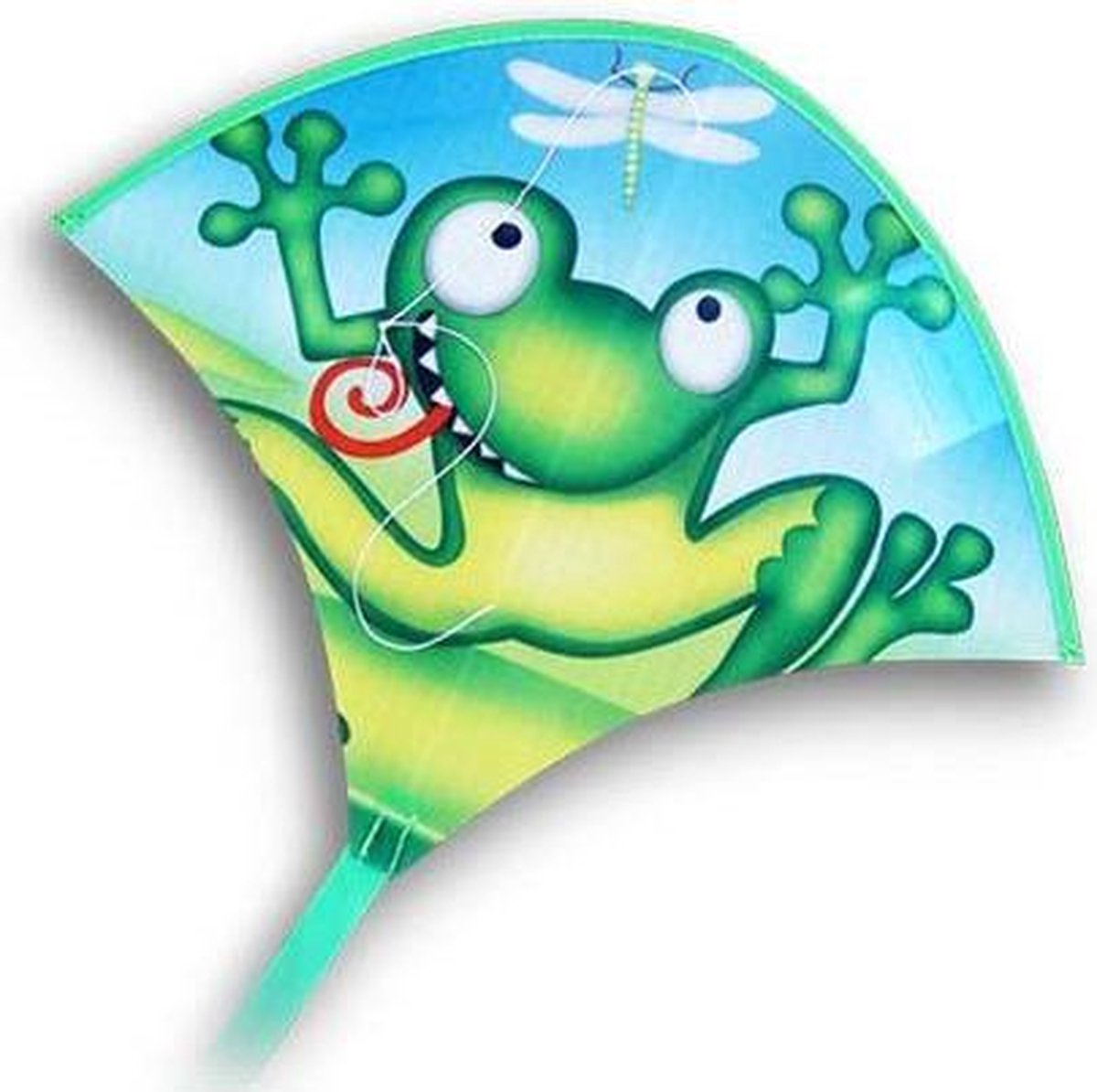 FROG MINI 28*22 VLIEGER