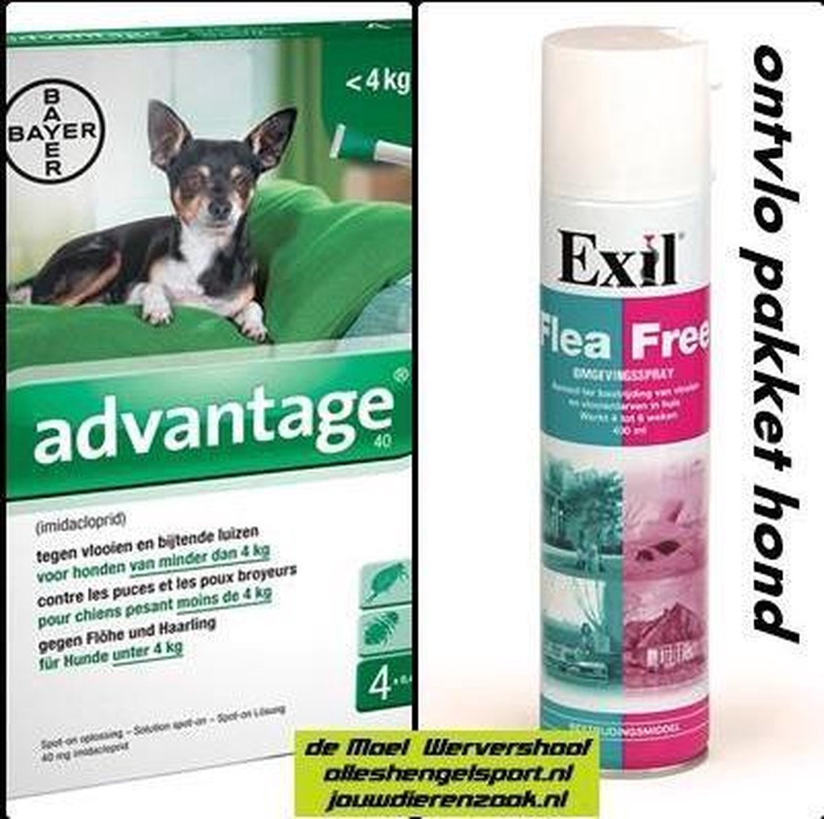 anti vlooien pakket voor de hond tot 4 kg - Exil flea free omgevingsspray + 4 pipetten advantage hond 40