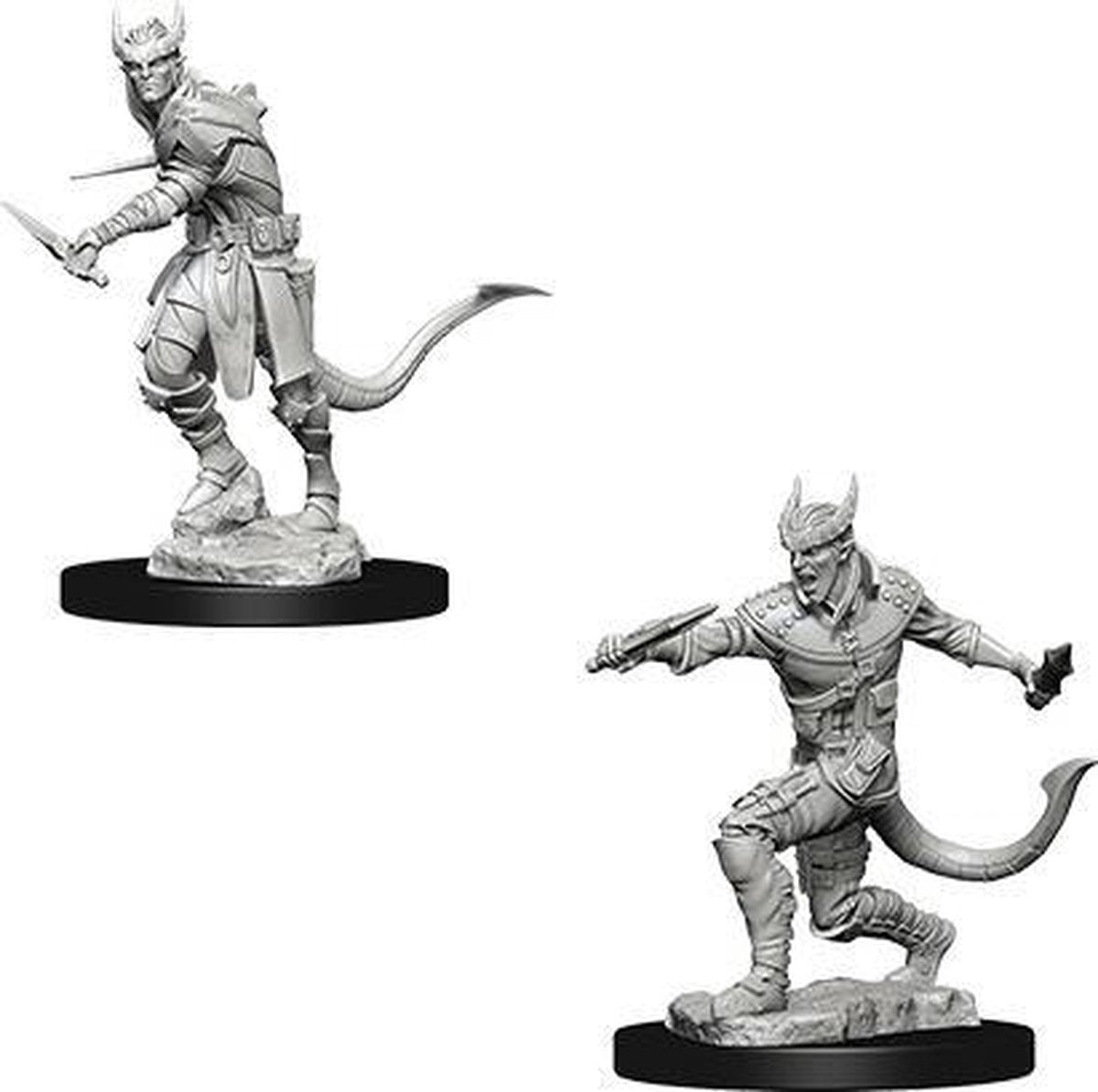 D&D Miniatures Tiefling Male Rogue - EN