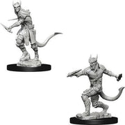 D&D Miniatures Tiefling Male Rogue - EN