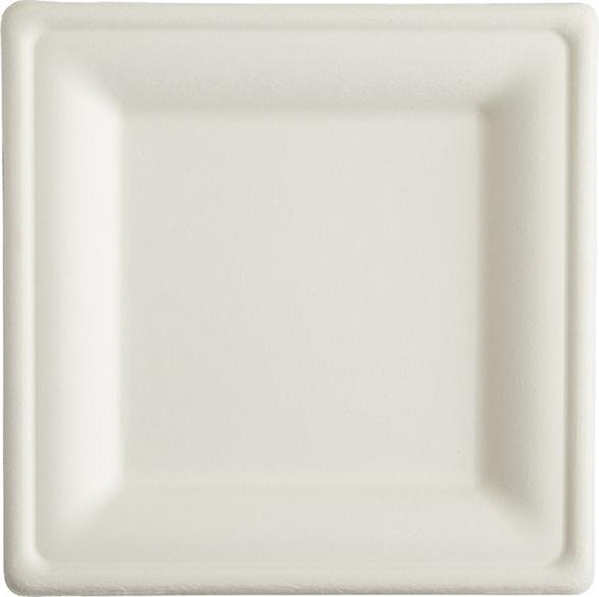 Suikerriet Borden Vierkant 20 cm - 500 stuks