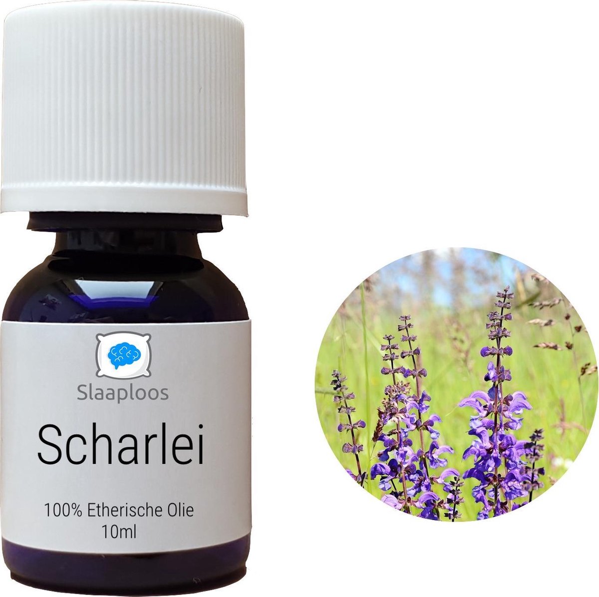 Scharlei Olie - 100% Pure Clary Sage Etherische Olie