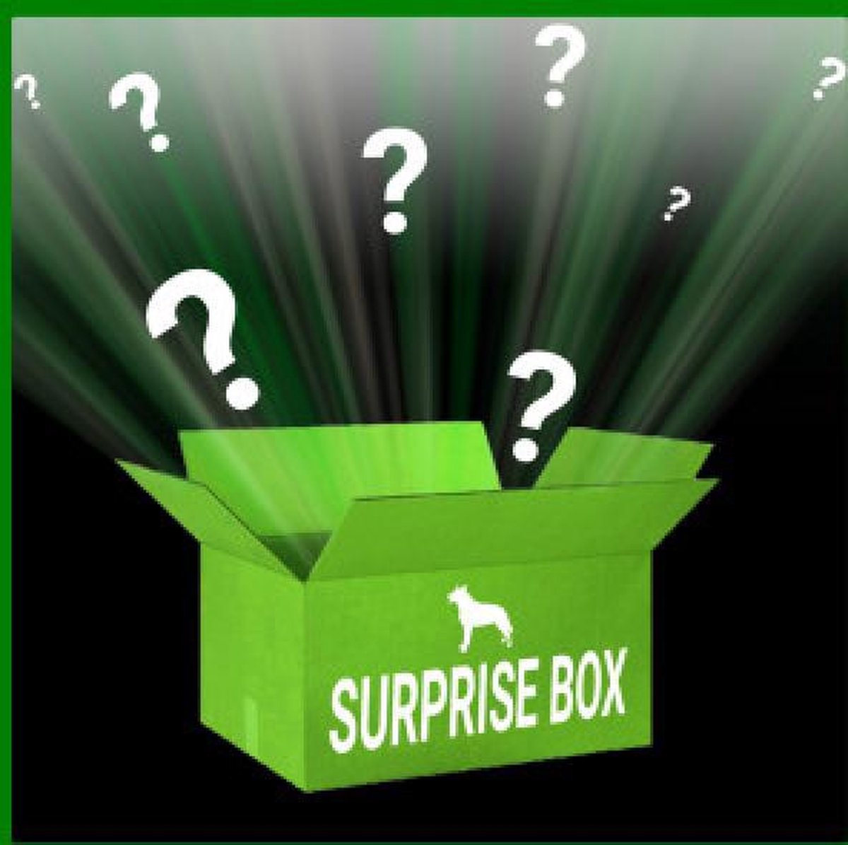 Verrassingspakket Hond van Versteeg - Surprise Box - Hond - Hondenspeelgoedset - Hondensnack - Hondenspeelgoed