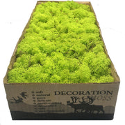 Rendiermos Lente groen per 500 gram voor decoraties