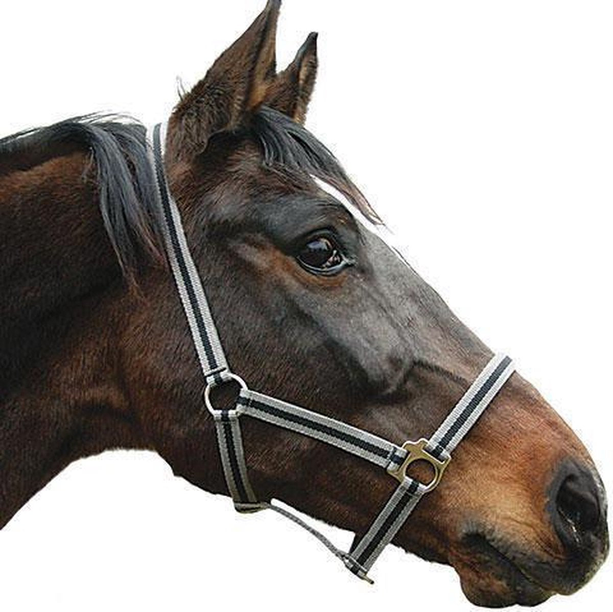 Kerbl Halster Hippo Grijs/zwart 0 Shet