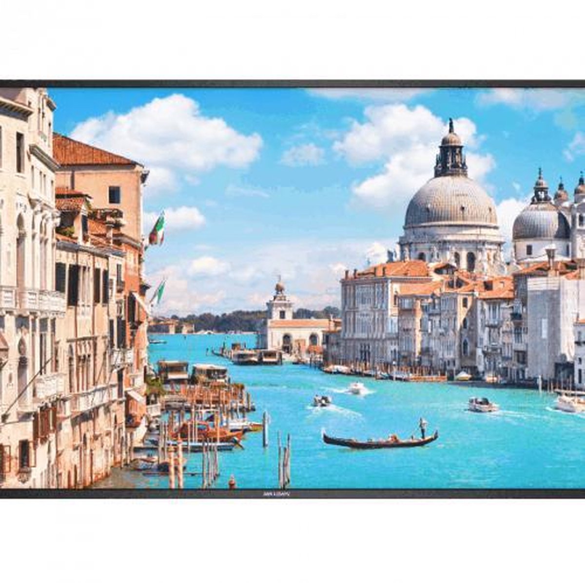 50 inch Tran / Display Monitor 4K