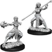 Wizkids: Dungeons and Dragons - Nolzur's Marvelous Miniatures - Half-Elf Female Monk