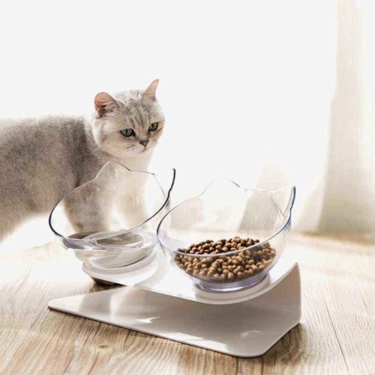 Repus - Dieren Water & Voer Set - Dubbele Voerbak Voor Huisdieren -Voor Katten en Honden | Halsbescherming | Vaatwasbestendig | Nekbescherming
