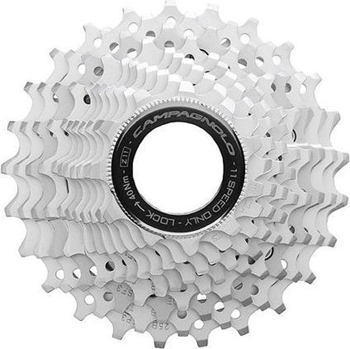 Campa. CS9-CH113 Chorus 11V cassette 11-23