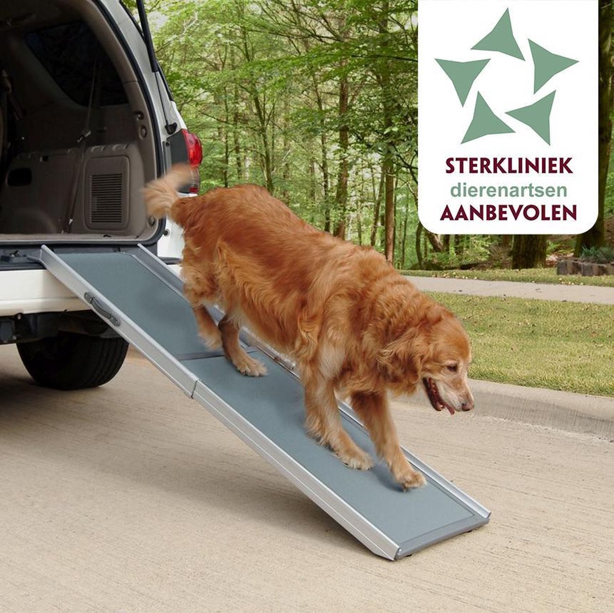 Hondenloopplank - Petramp - XL 120 - 220 cm