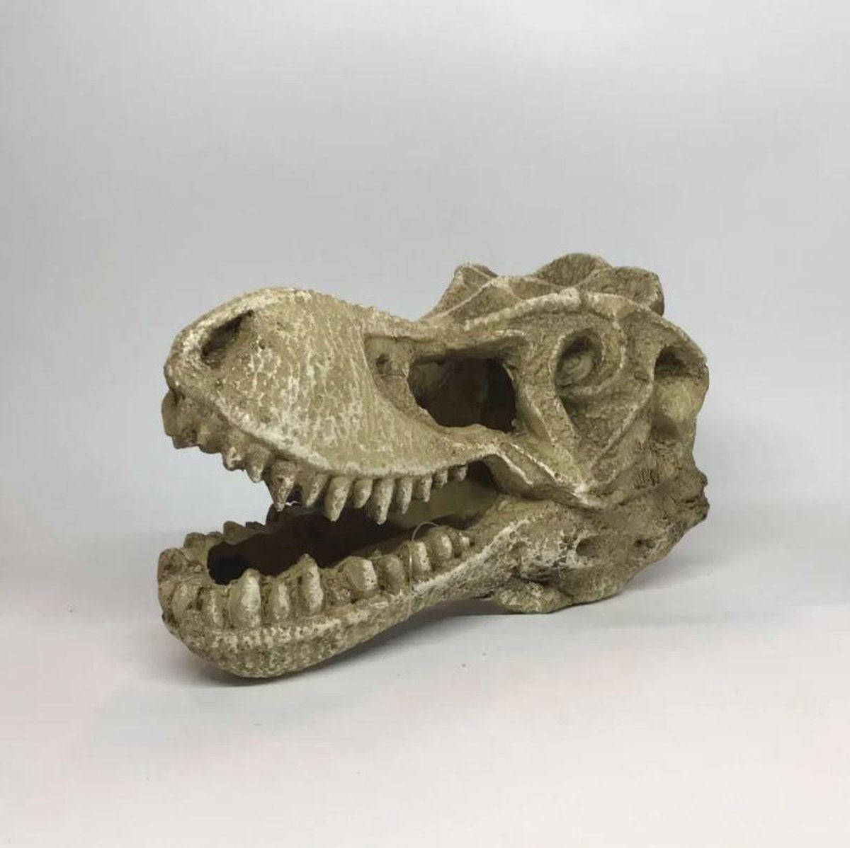 T Rex Schedel | Aquarium decoratie ornament