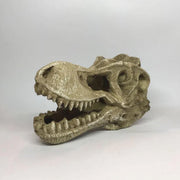 T Rex Schedel | Aquarium decoratie ornament