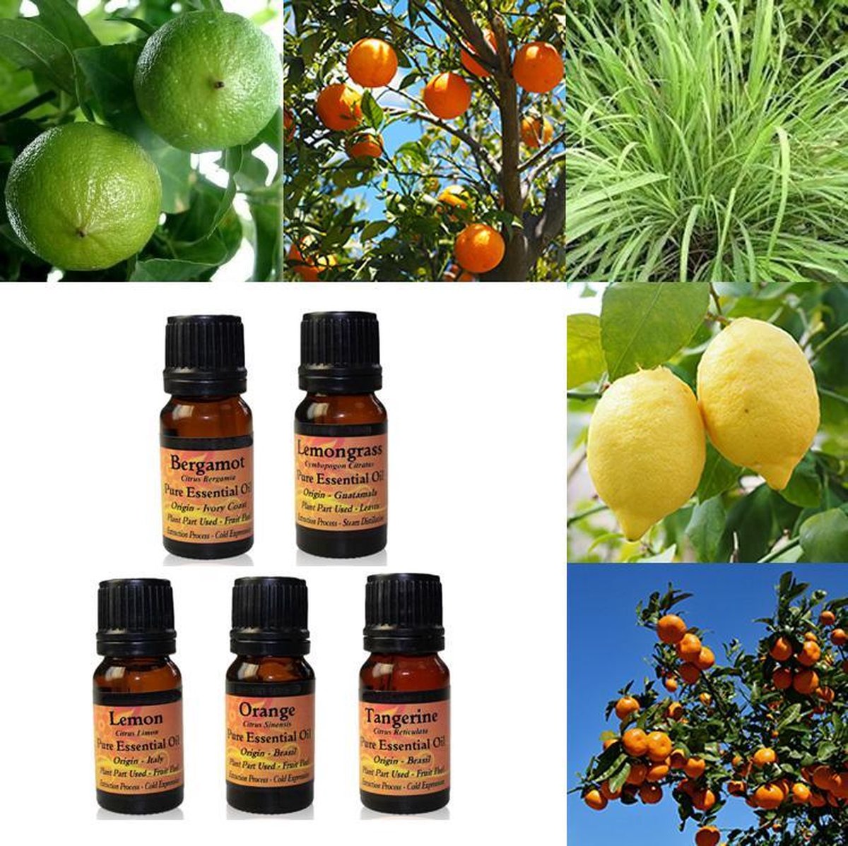 Citrus etherische olie set - 50 ml - puur natuur - EU gecertificeerd