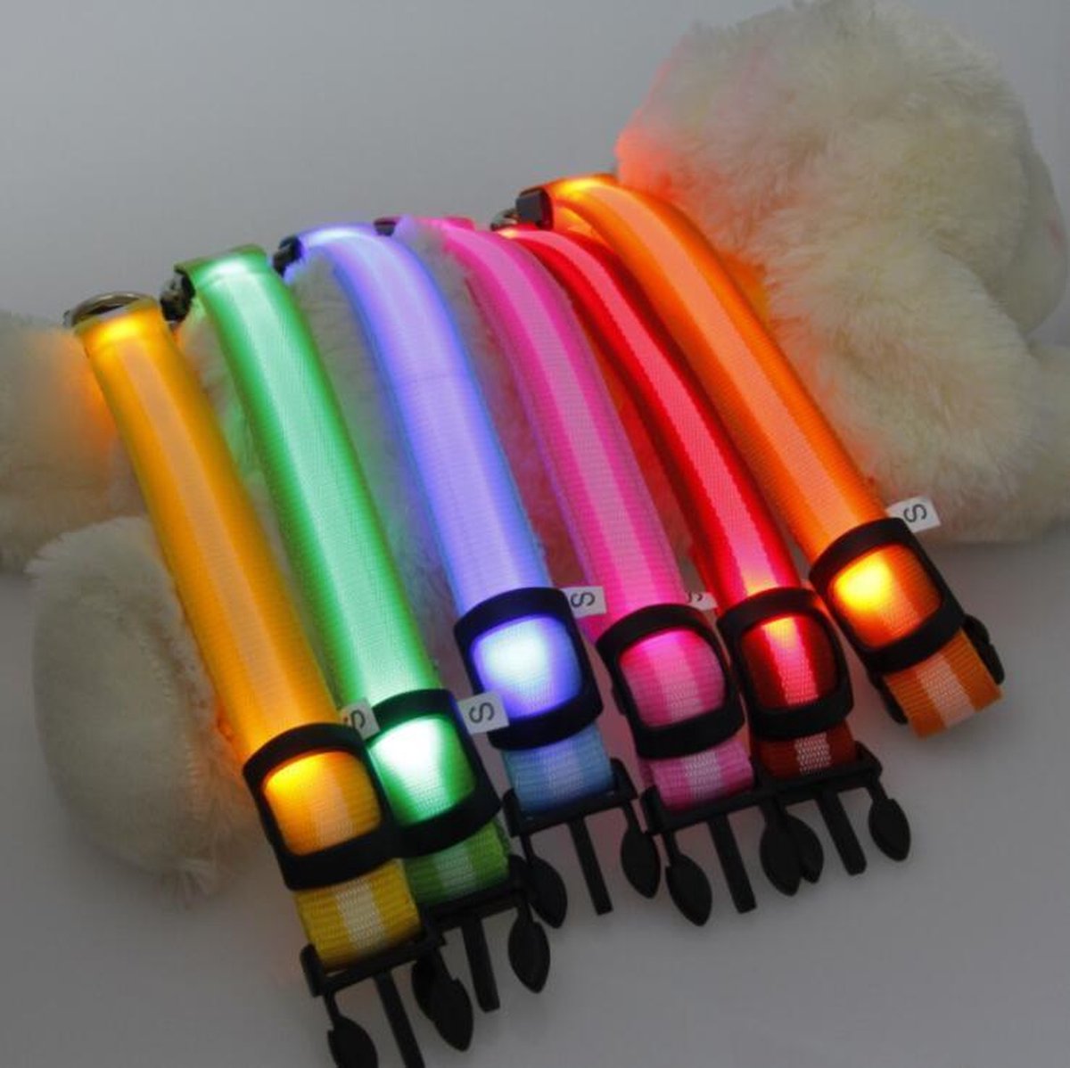 Halsband voor hond met ledlamp - Maat L