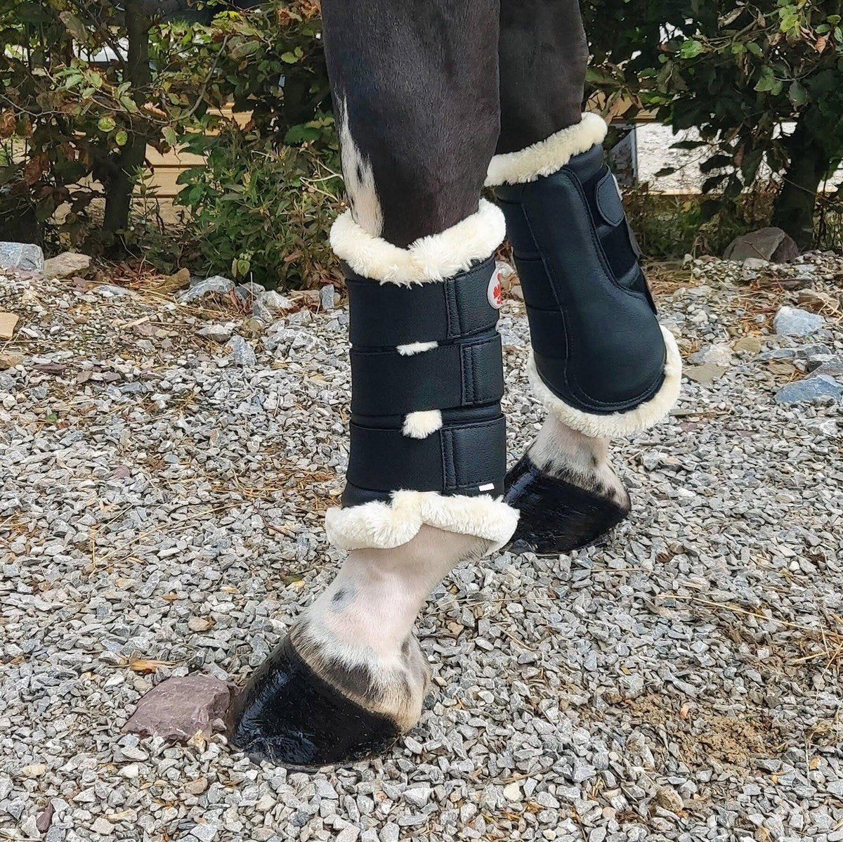 Bucas Brushing Boots Peesbeschermers L Zwart