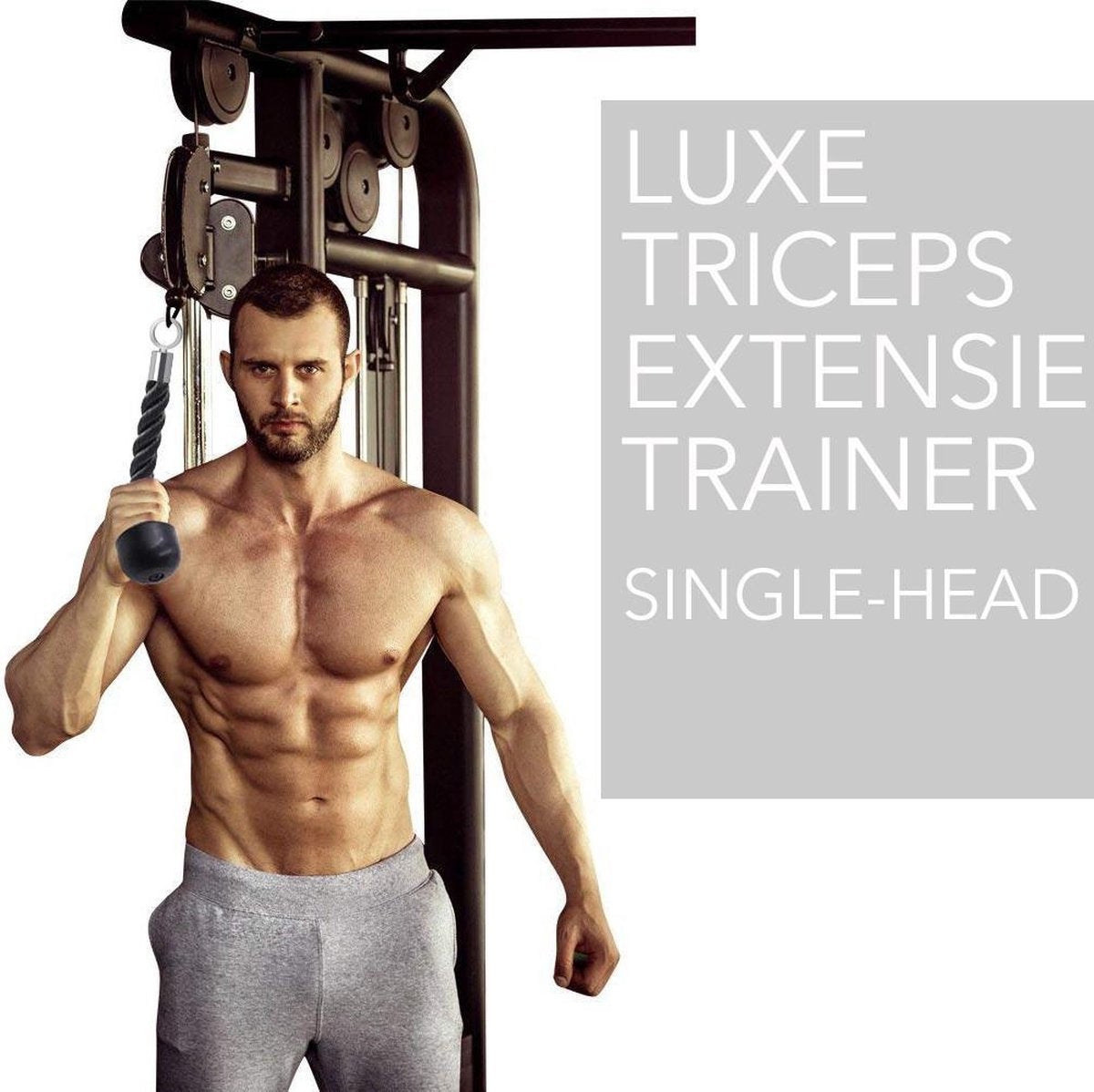 Universele fitness en triceps extensie  voor Pulldown