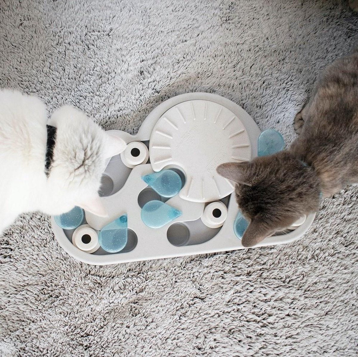 Petstages Rainy Day  Kattenpuzzel vulbaar met snacks - Level 3 Gevorderd - Nina Ottosson puzzelspeelgoed voor slimme katten