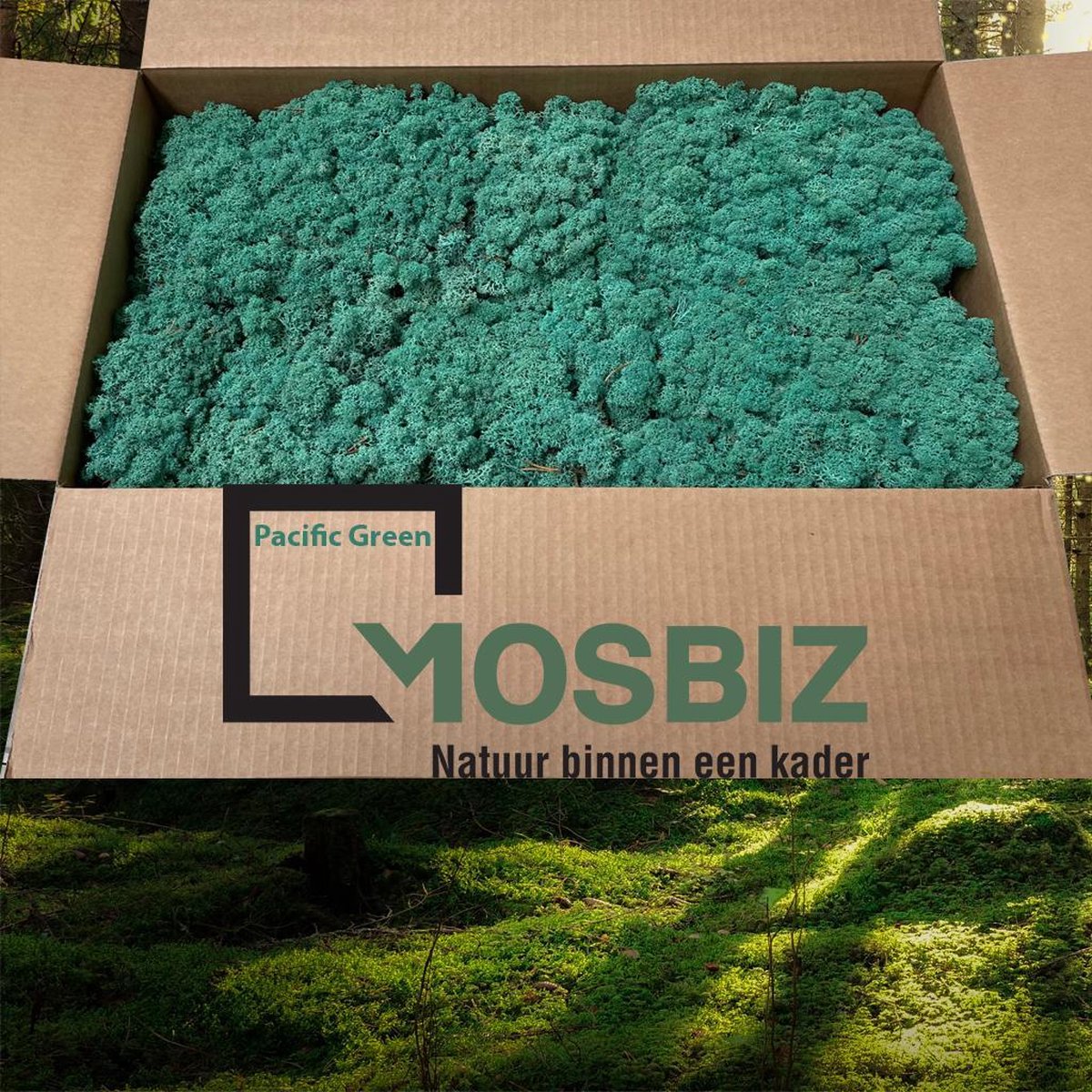 MosBiz Rendiermos Pacific green 2 laags (2