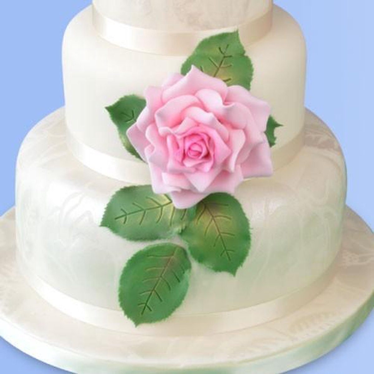 Patchwork Cutter Grandiflora Rose