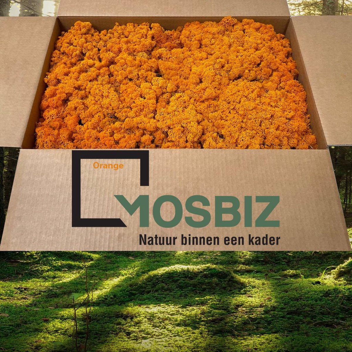 MosBiz Rendiermos Oranje 2 laags (2