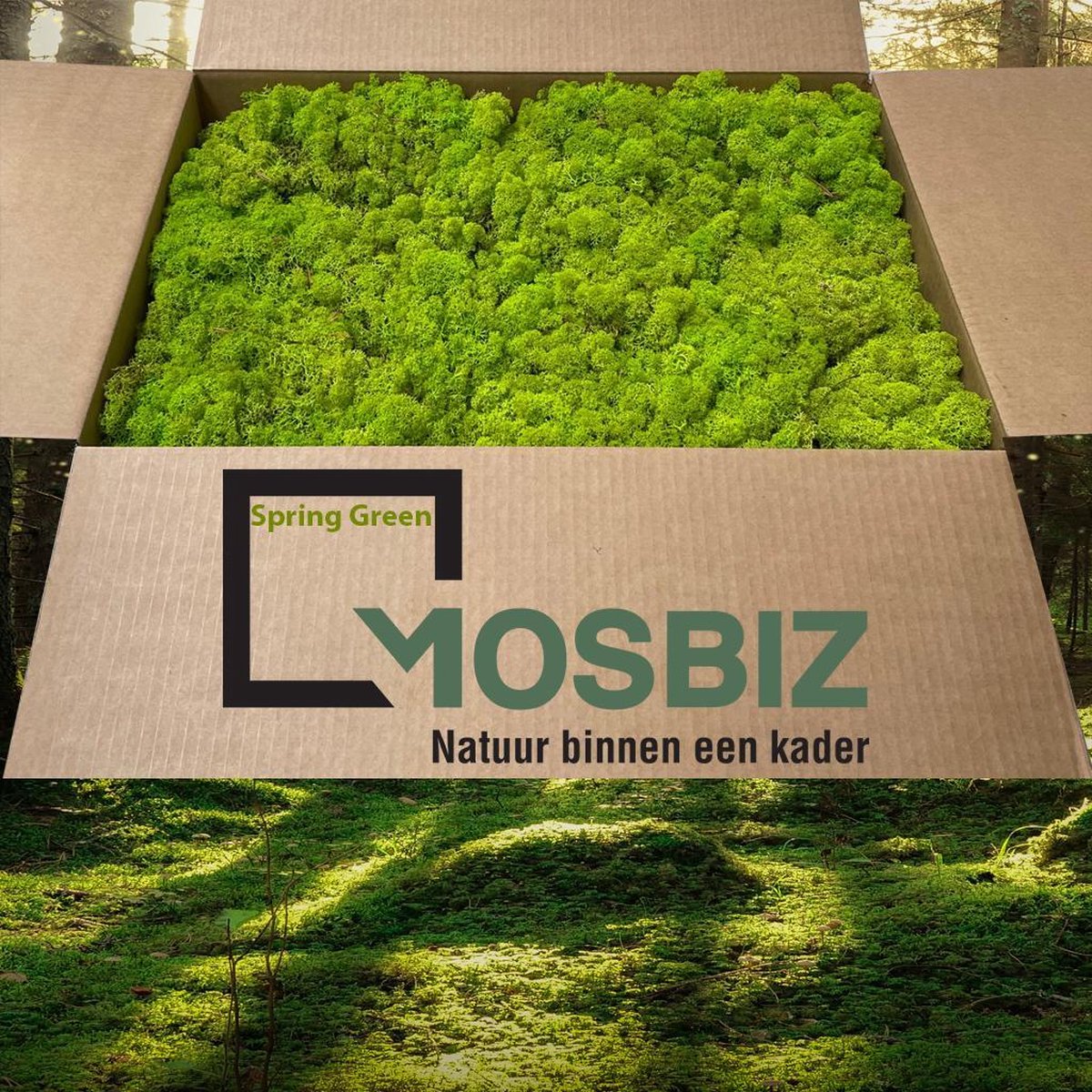 MosBiz Rendiermos Spring green 2 laags (2