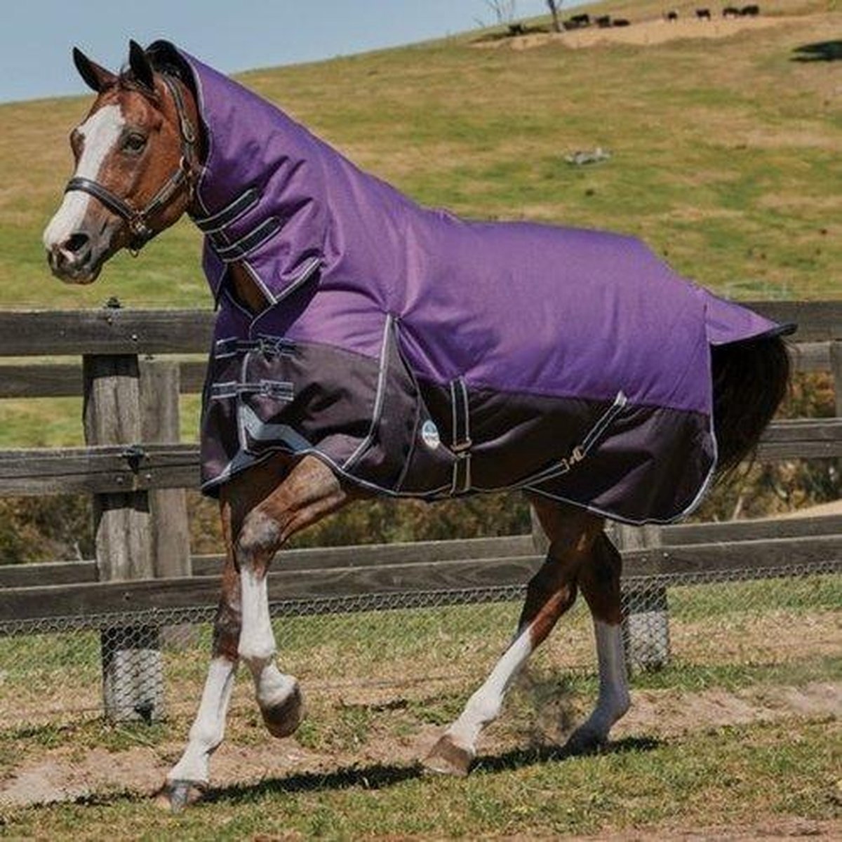 RelaxPets - Weatherbeeta - ComFiTec Plus Dynamic - Medium - Waterdicht - Vaste Hals - 220 gram -  190 cm