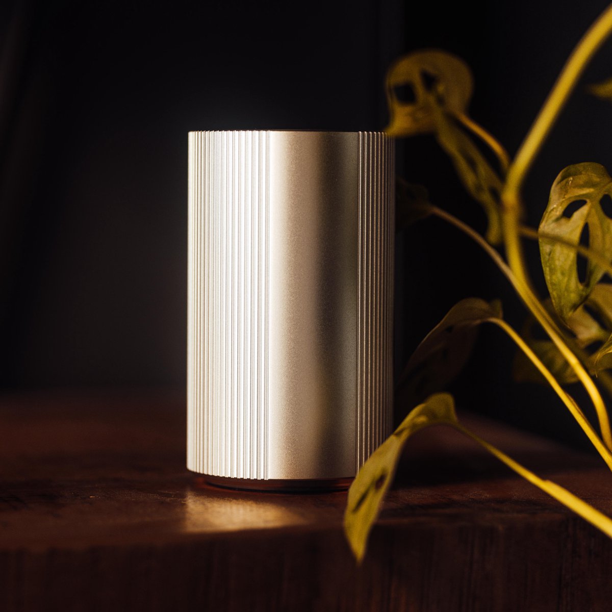 Arodore Relax© - Aroma Diffuser - Aroma vernevelaar - Geurverspreider voor etherische olie - Zilver