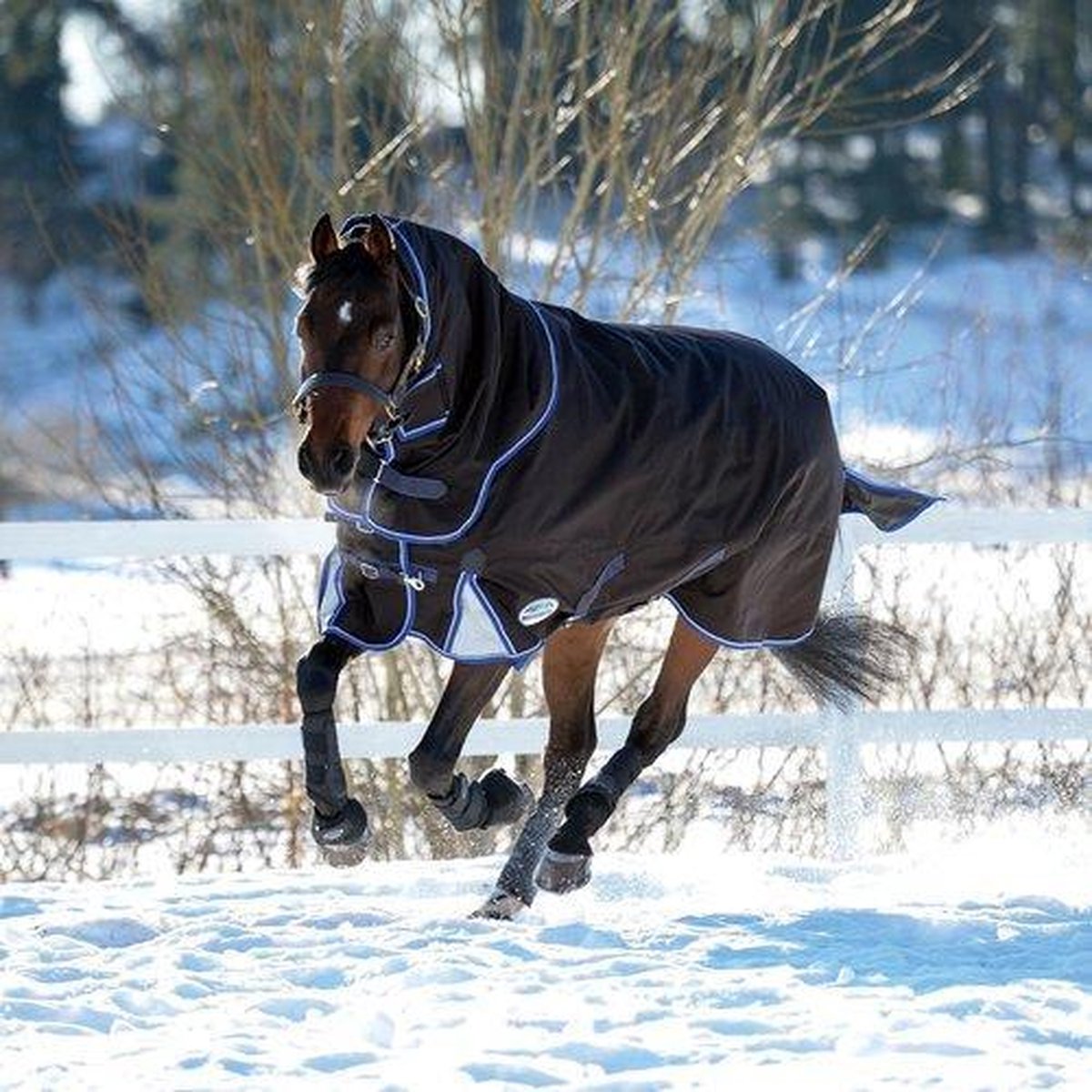 RelaxPets - Weatherbeeta - Winterdeken - Waterdicht - Afneembare Hals - ComFiTec Ultra Cozi II - Medium - 220 gram - 195 cm