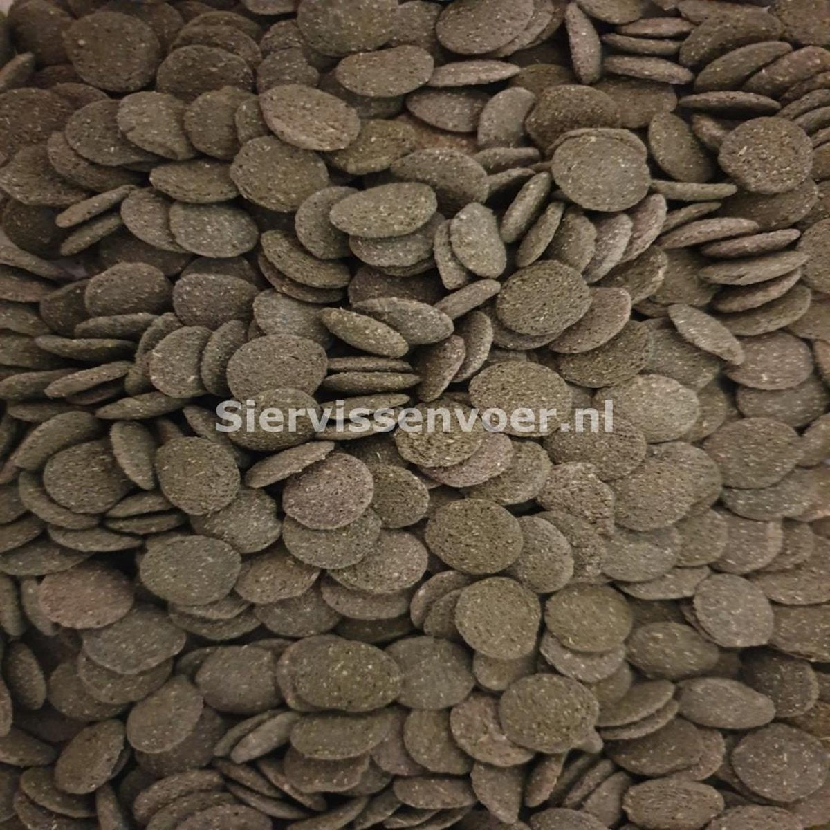 Algen wafels