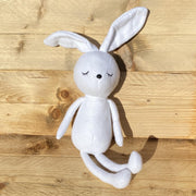 Konijn Knuffel Zacht Pluche