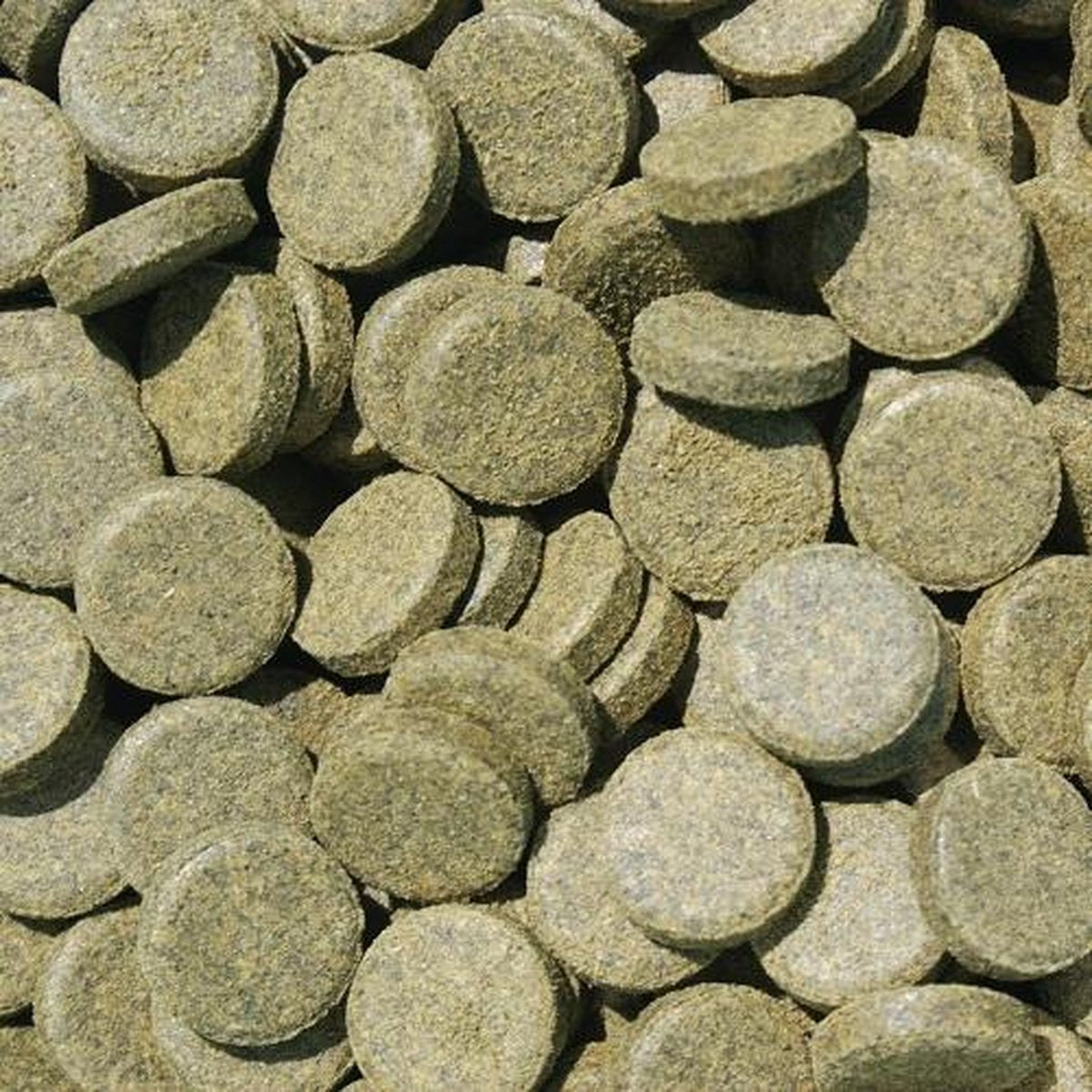 Tabletten Spirulina (500ml)